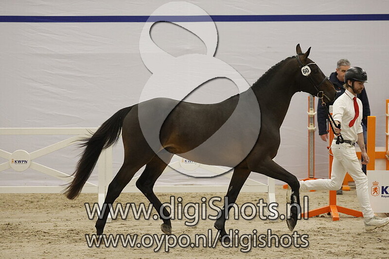 Doom van Domus Z v. Diamant de Semilly