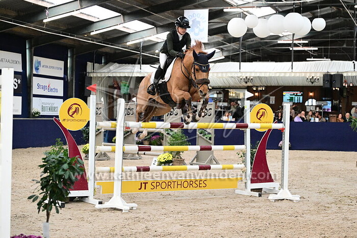 Nicole Mestrom - Naphira