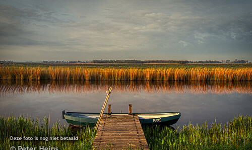 TULPEN_OOSTERWEG_ZUIDSCHERMER_08APR2024