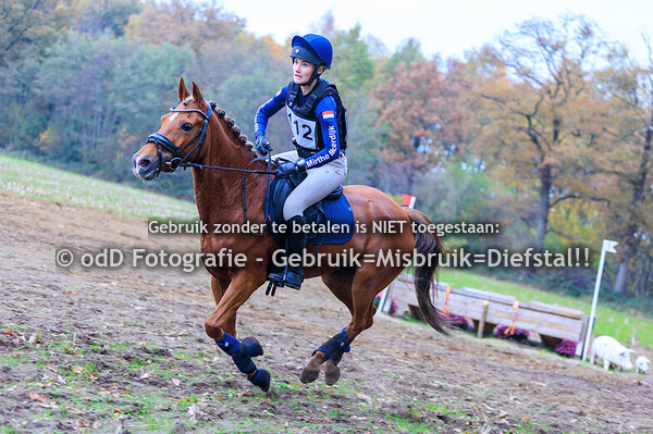 Eventing Rekken paard L pony M 08-11-25
