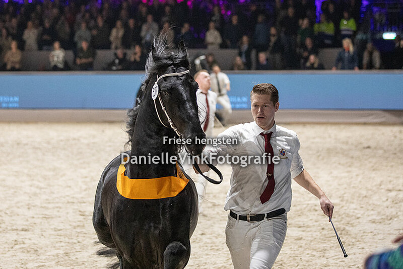 Hengstenkeuring 2024 Jeppe 537