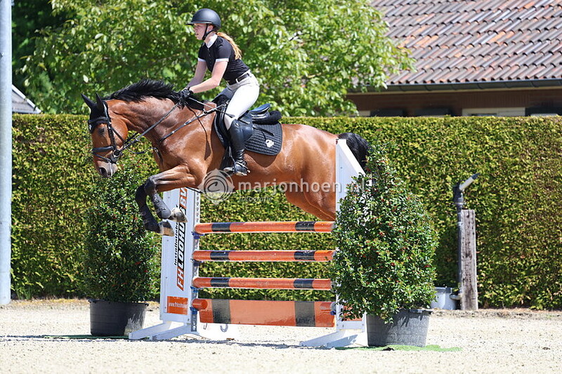 202_DENEKAMP_BERGenDAL_1.00en1.10_10MEI2025