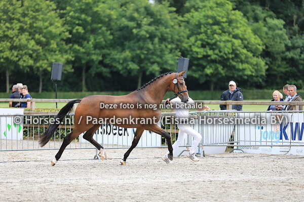 115 Lafeera Altena v Expression