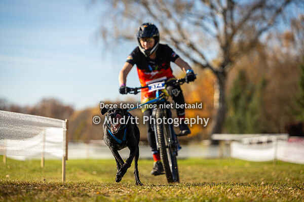Bikejoring masters III & juniors