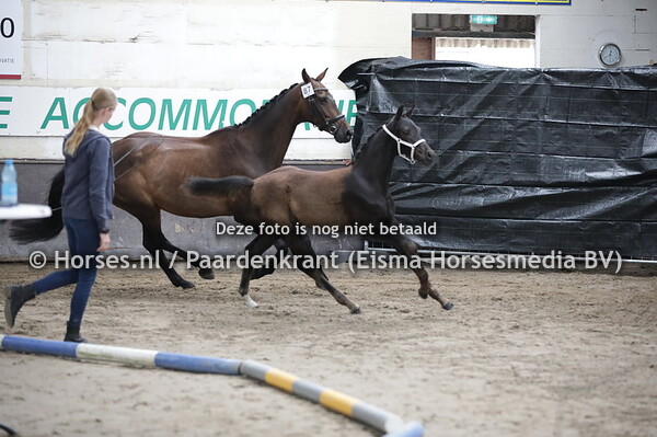 87 Perfect Fit MT (For Ferrero x Eliana v. Tuschinski)