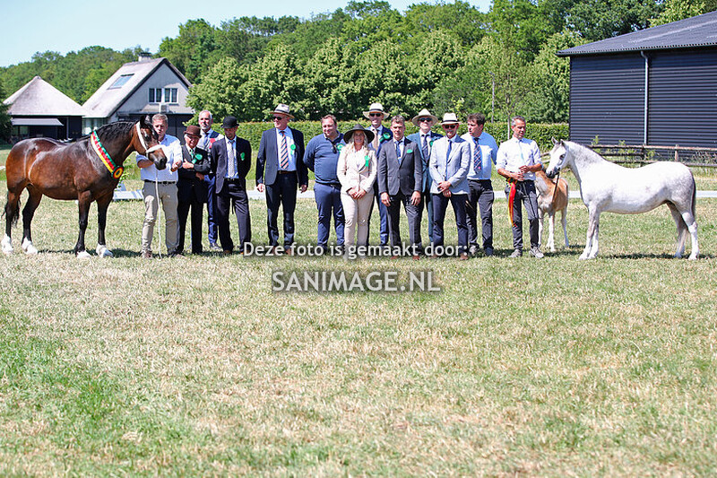 NWPCS Mega Welsh Event 10-06-2023 Kampioenschappen