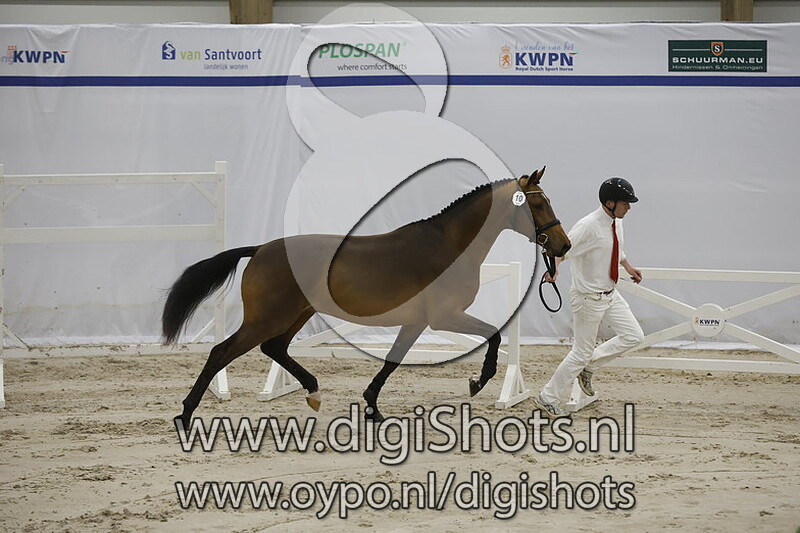 Redford VDL v. Arezzo VDL - 010