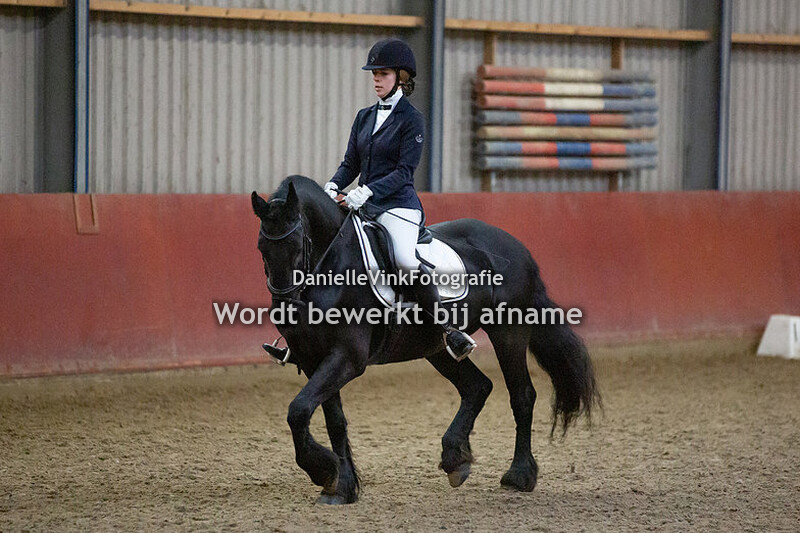 Eindejaarsconcours Stal Alblas 2018