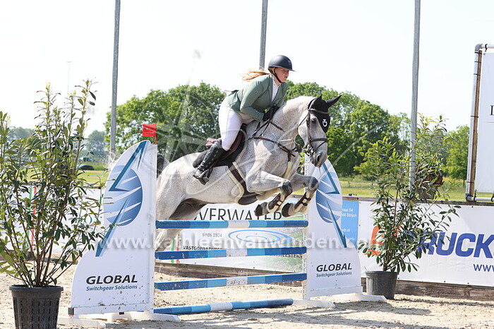 Romy Metselaar - Heros