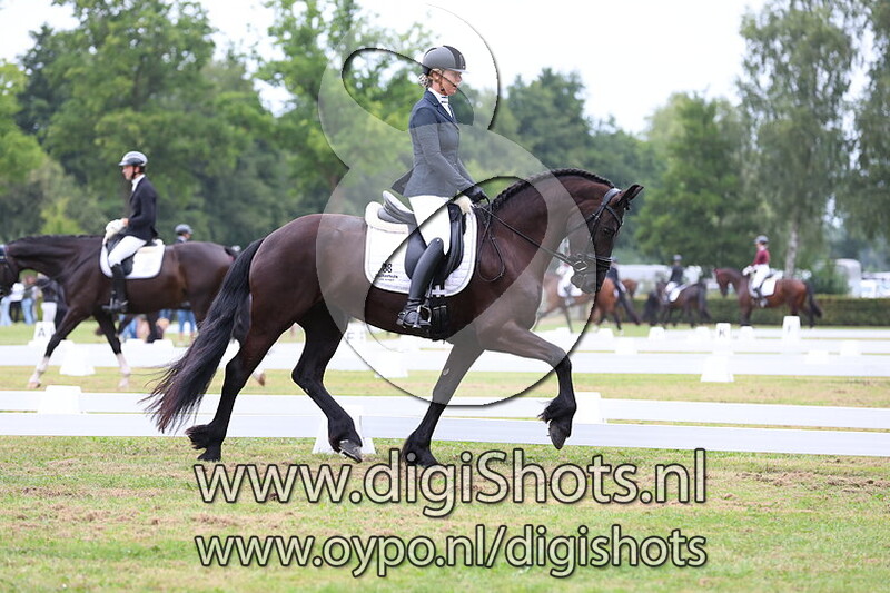 Ring 11 verenigingskampioenschappen 's morgens