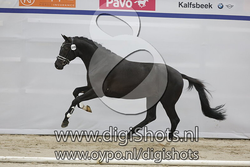 Princeville JT v. Kjento - 446