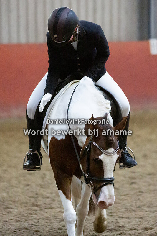 Kate Poppeliers - Charlie