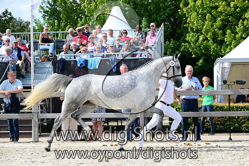 Robinetta Angel VDL - 052