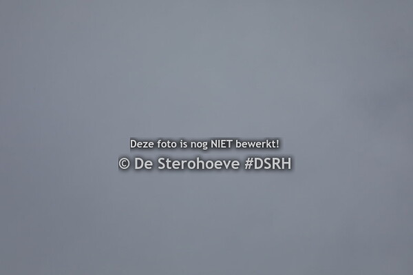 9.vrouwelijke 3j springen