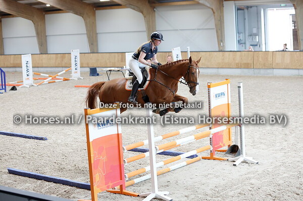 1 Paola-Pinacolada (Baltic VDL x Kypina Colada v. Kannan)