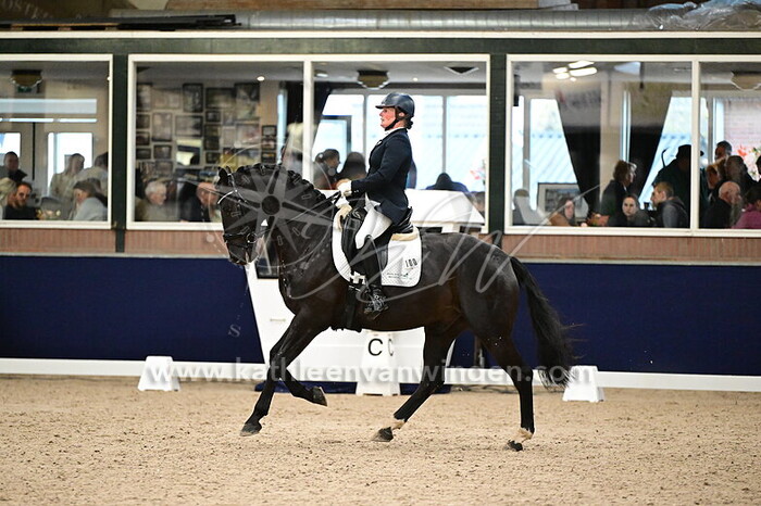 Saskia Timmermans-Melis - Beekdal's Prince