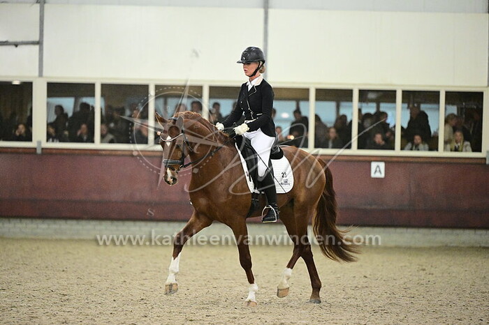 Schuyler Kuhne - Steele