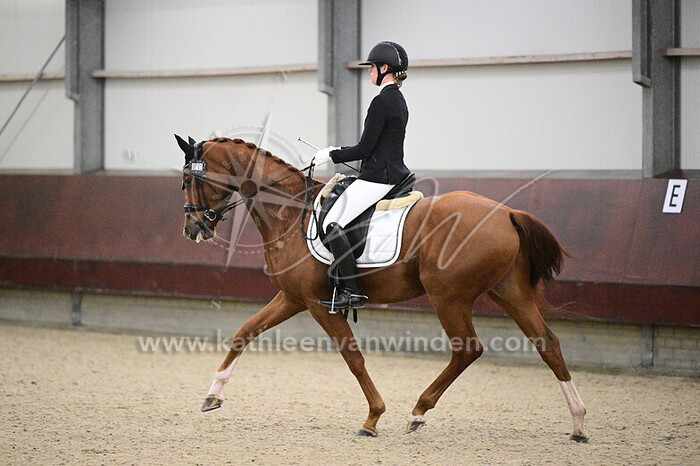 Lynn Corts - Seven Up