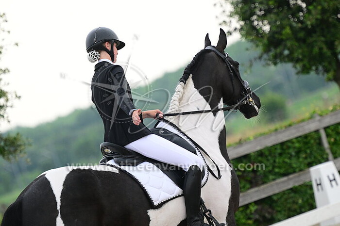 Joy Koelewijn - Colorful Joy KLW