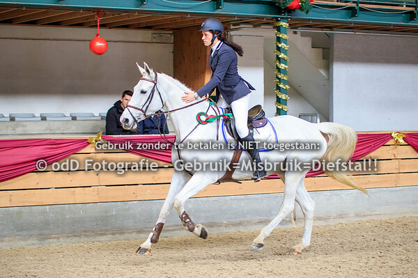 NY Jumping Warredal Finals 105cm 09-01-22