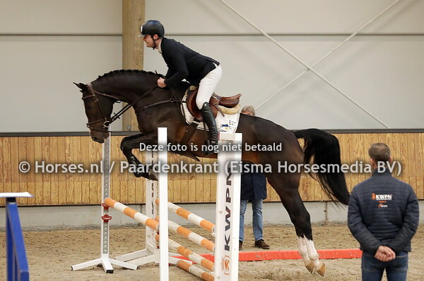 18 Pim HBC (Apardi x Cantos)