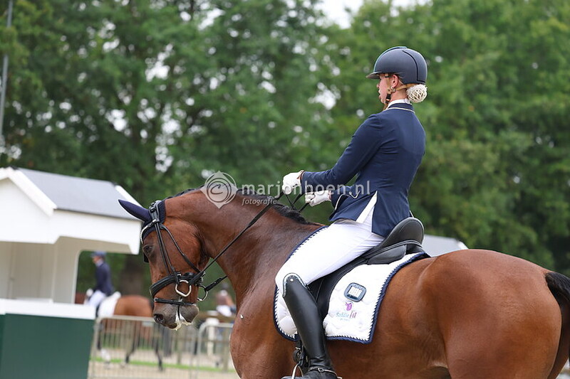 1116_ZILVERENSTER_M&Z-20SEPT2025