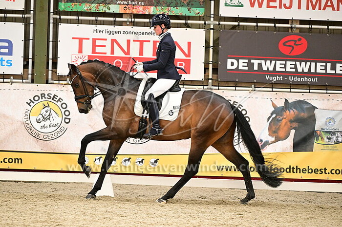 Demy Kurstjens - Ratina-Ray