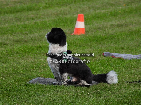 De Roedel sept. 2023