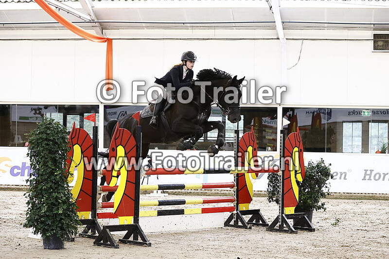 anke marije de vries