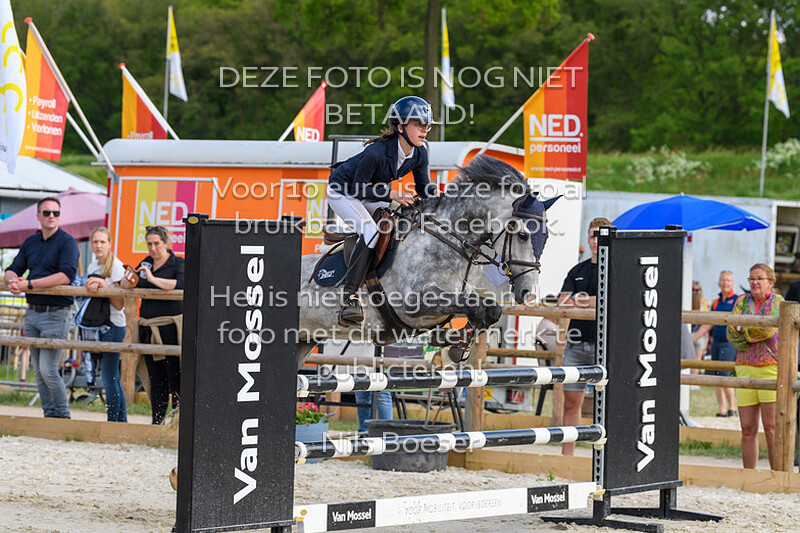 S21 Springen DE 100cm