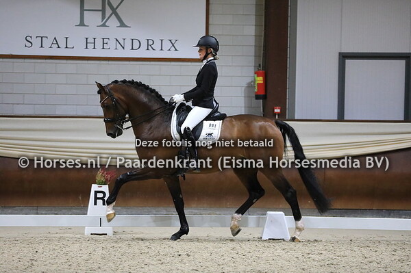 1 In Style v Eye Catcher, Renate van Uytert