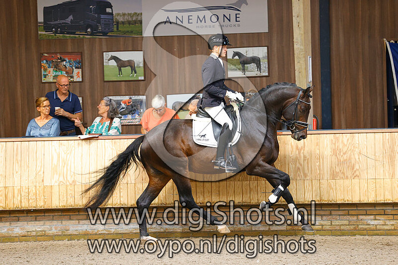 Mozart M v. Franklin