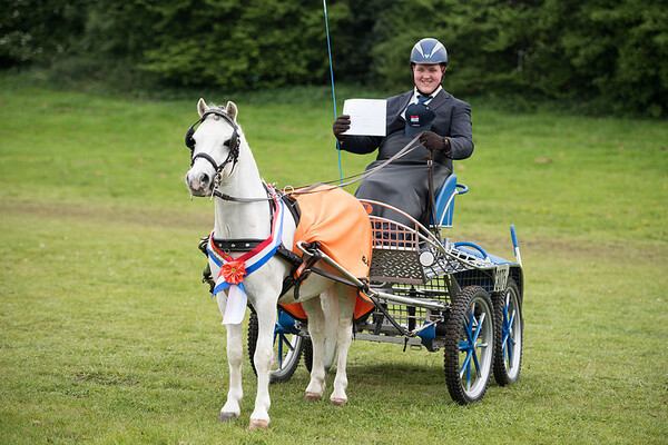 Welsh Sportdag Noord