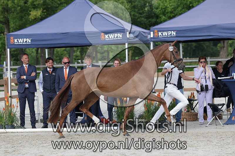 Special v. Las Vegas