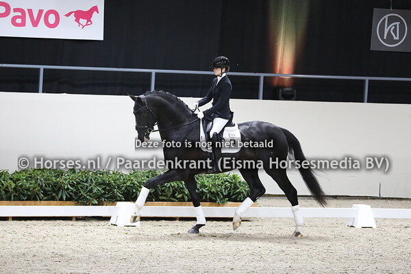 04-02-2022 KWPN nieuwe jaargang dressuurhengsten