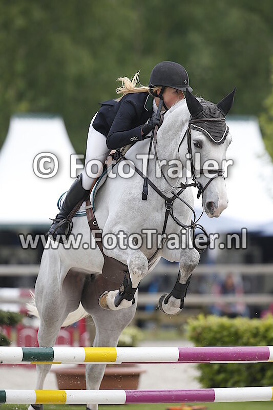 Anoek van der Pluijm