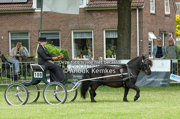 Shetlanders Enkelspan 