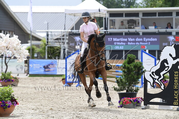 Martine van den Eynden - O'Malley