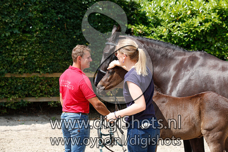 Theodor van de Distelhoeve v. Special Agent Amount