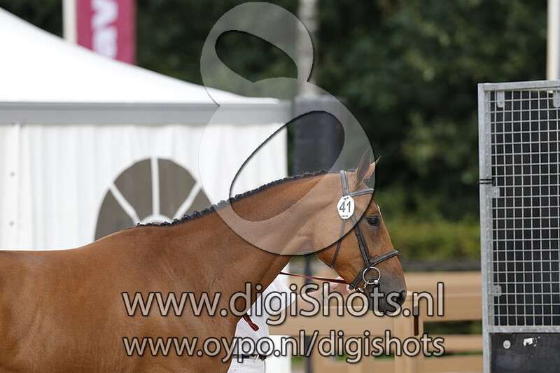 Pfilithya v. Cape Coral RBF