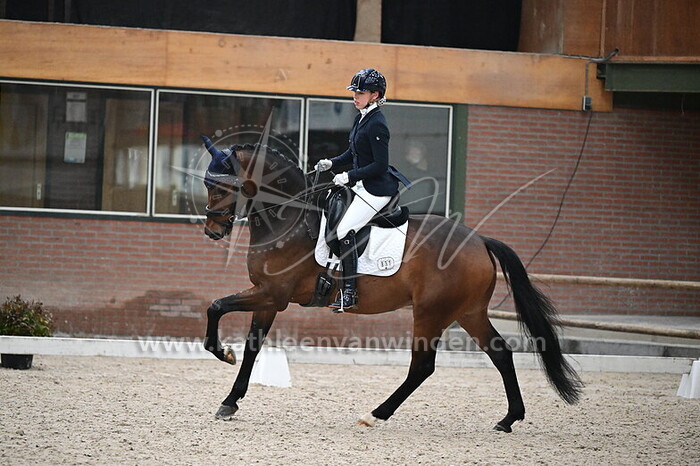 Nikita Buis - Padinus