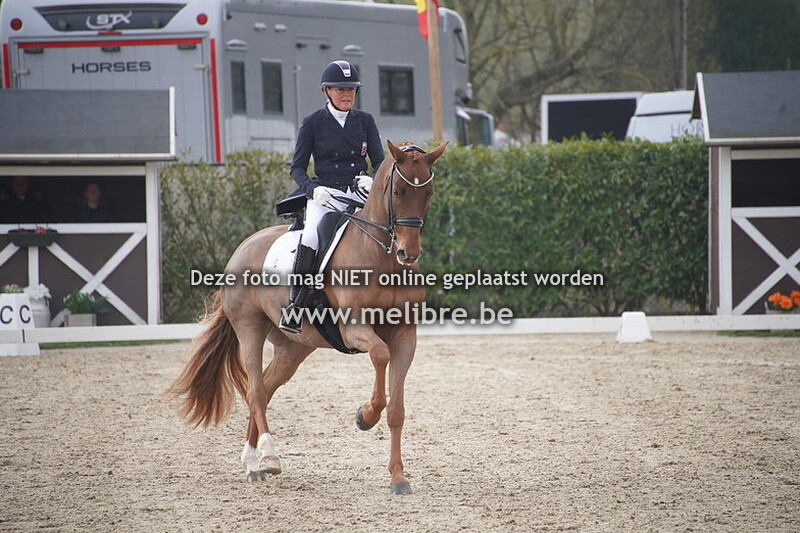 2. Intermediate Freestyle