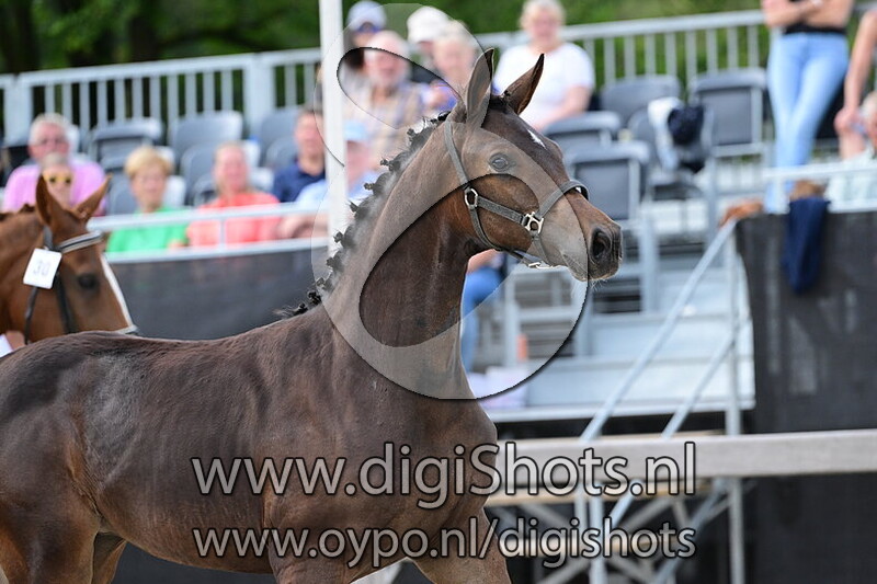 Unlimited Sunshine - 030