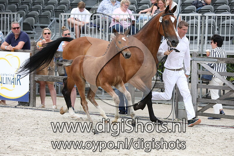 182 Retro Sinetty v. Alexandro P