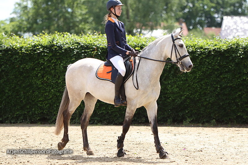 CH Wanneperveen 26-05-2022 Pony's Klassiek op stijl 90cm