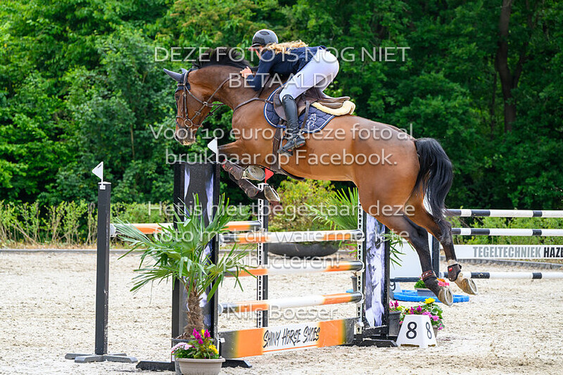 15 Klassiek paarden 1.20 m MB-ZB