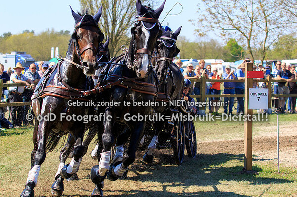 Horse Driving Kronenberg CAI3* Horse Four-In-Hand 20-04-19