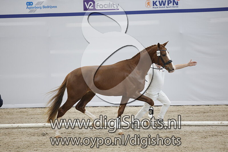 Pandour v. For Ferrero - 347