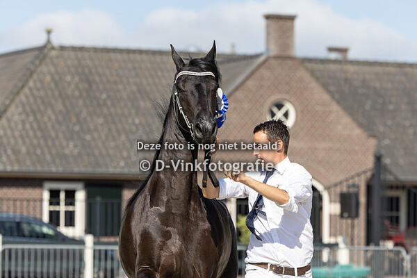 140. Queen Rosanne Palermo