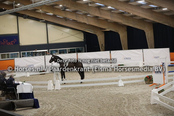 323 (Daily Diamond x Johnson)